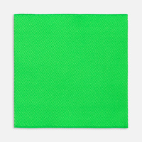 Лейбл тканевый Epsilon, L, желтый неон