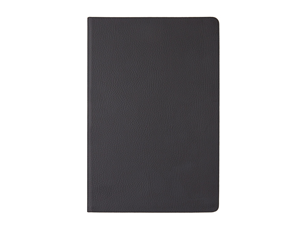 Ежедневник А5 датированный Megapolis Nappa на 2026