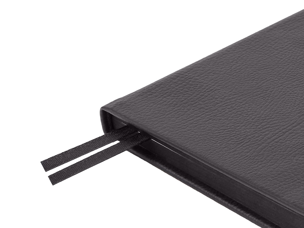 Ежедневник А5 датированный Megapolis Nappa на 2026