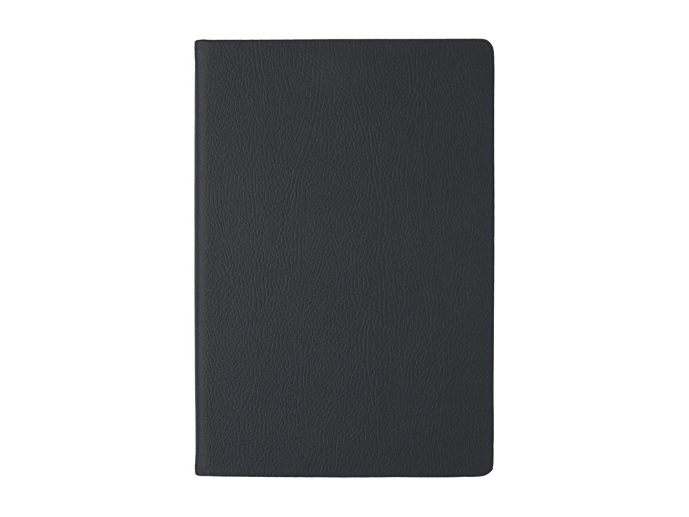 Ежедневник А5 датированный Megapolis Nappa на 2026