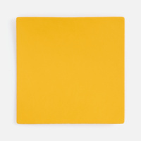 Лейбл Listra Soft Touch, L, оранжевый