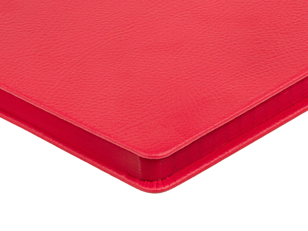 Ежедневник А5 датированный Megapolis Nappa на 2026