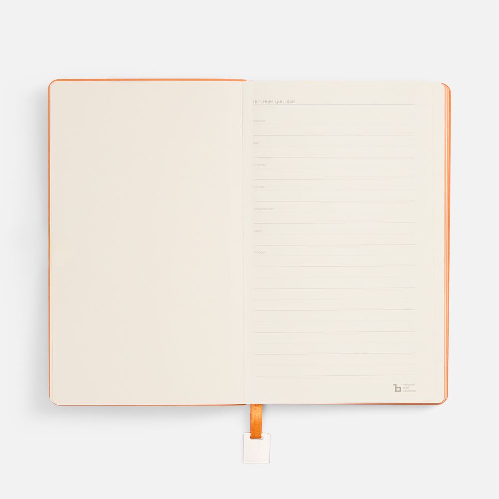 Ежедневник Shall Light, недатированный, оранжевый
