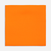 Лейбл тканевый Epsilon, L, желтый неон