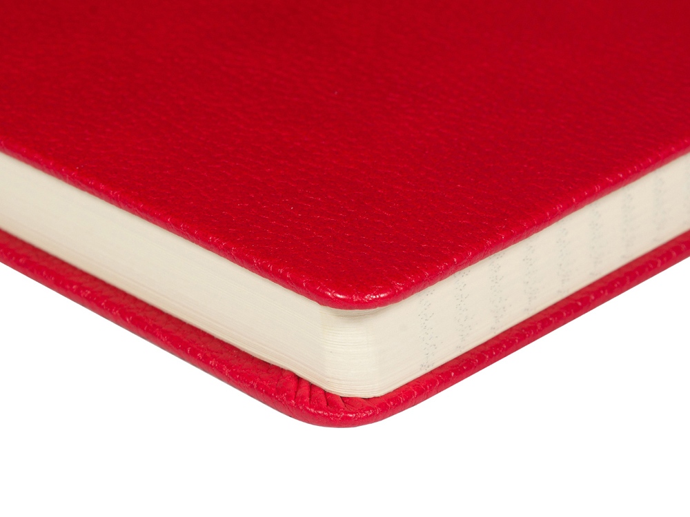 Ежедневник А5 датированный Megapolis Loft на 2026