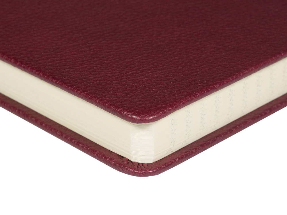 Ежедневник А5 датированный Megapolis Loft на 2026