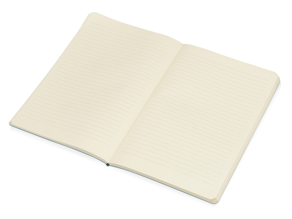 Блокнот А5 Softy soft-touch