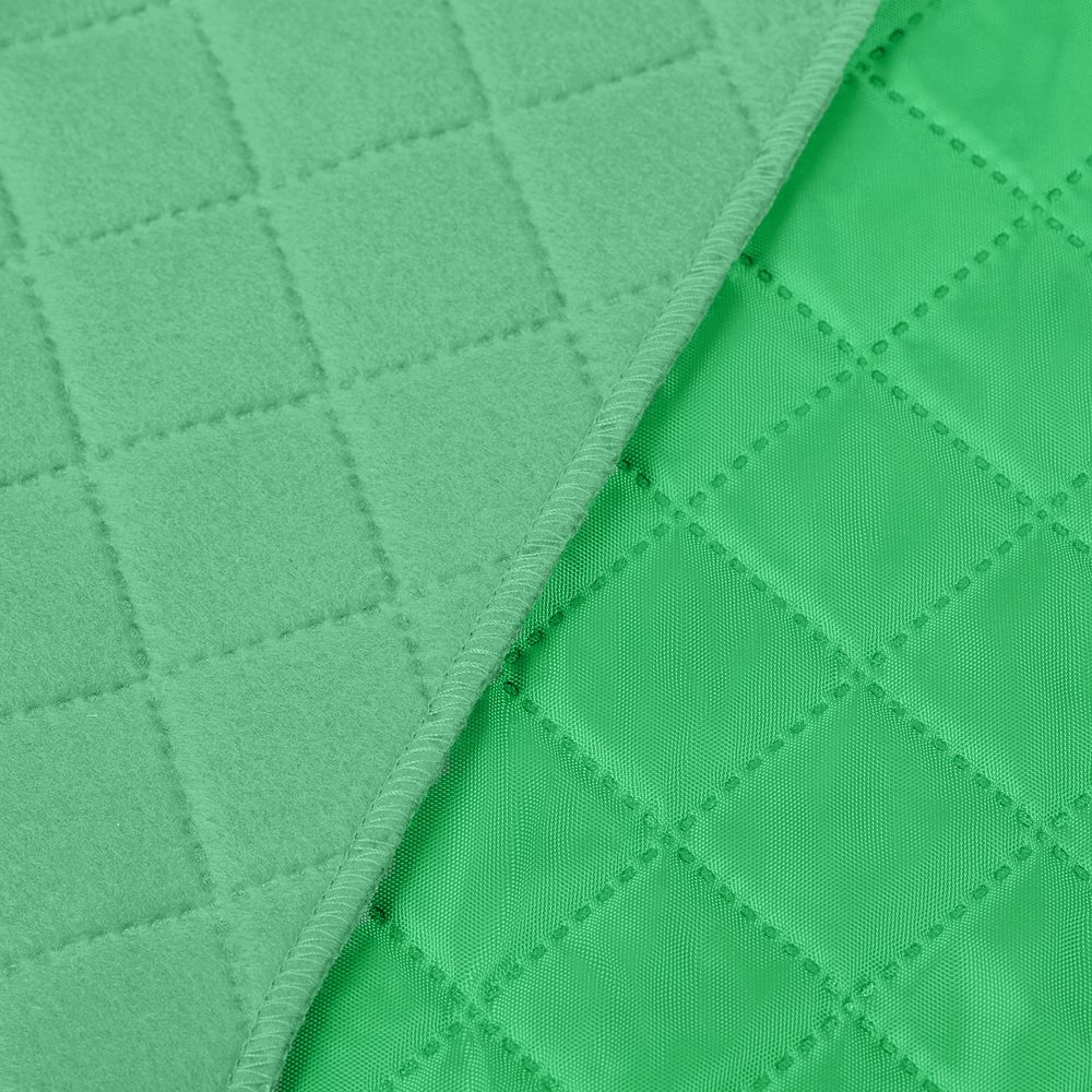 Плед для пикника Soft & Dry, светло-зеленый Плед для пикника Soft & Dry, светло-зеленый