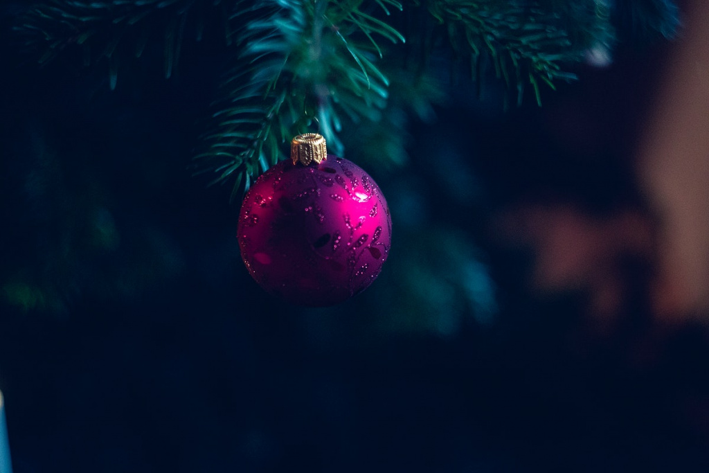 Close up of Christmas tree